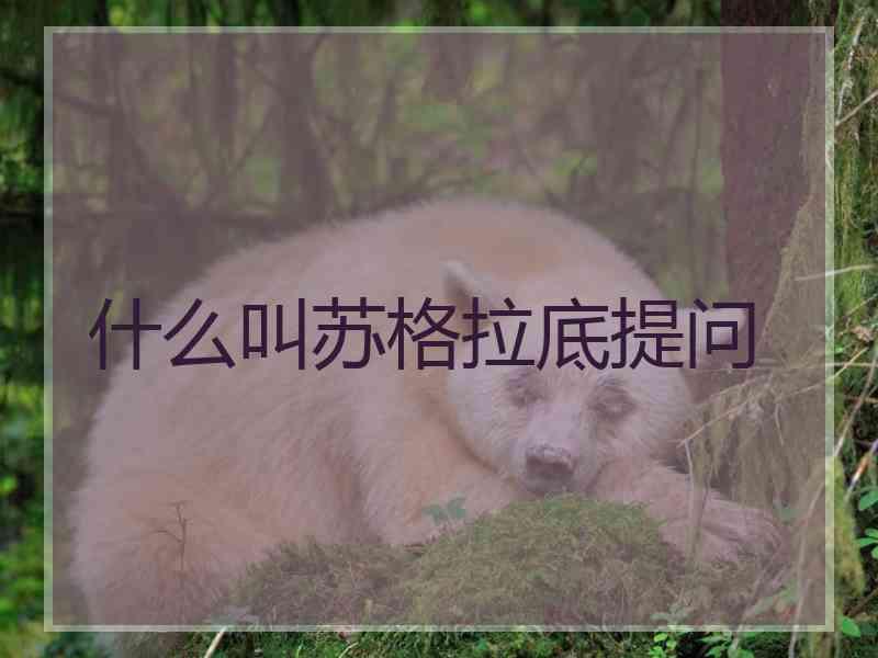 什么叫苏格拉底提问