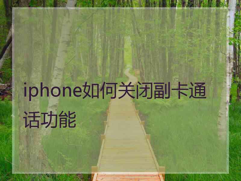 iphone如何关闭副卡通话功能