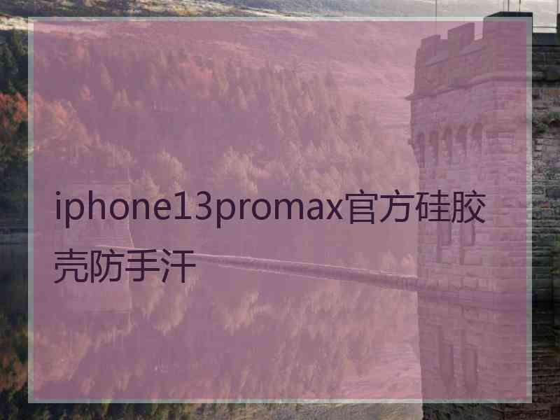 iphone13promax官方硅胶壳防手汗