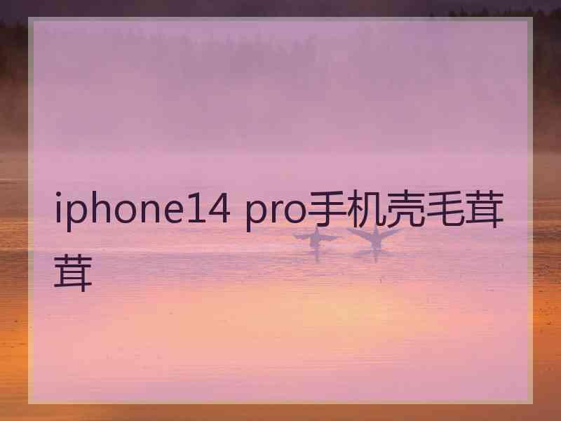 iphone14 pro手机壳毛茸茸