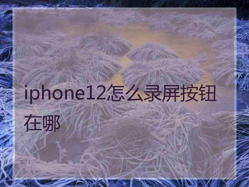 iphone12怎么录屏按钮在哪