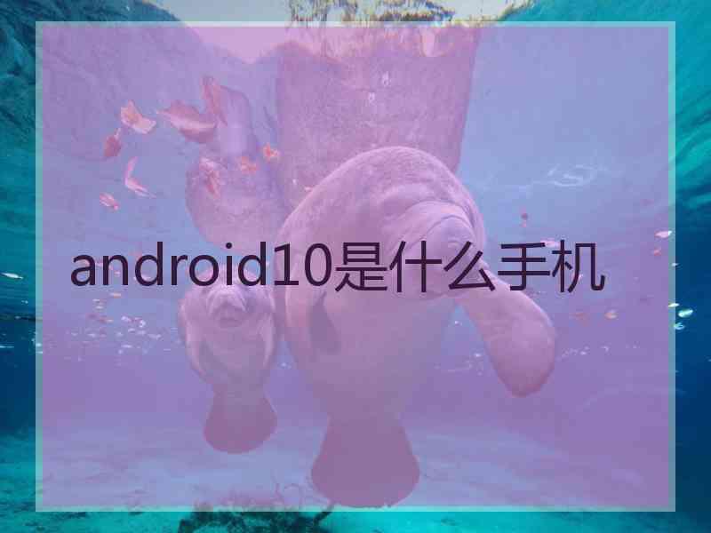 android10是什么手机