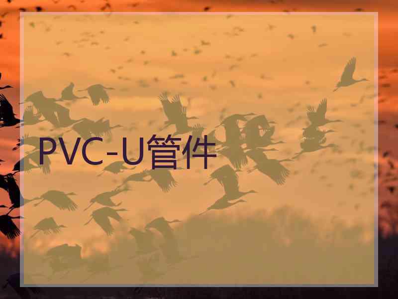 PVC-U管件