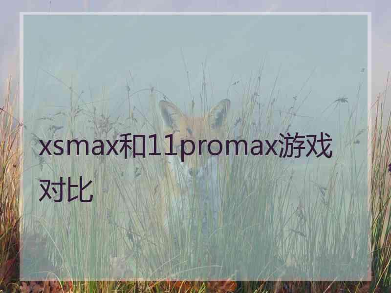 xsmax和11promax游戏对比