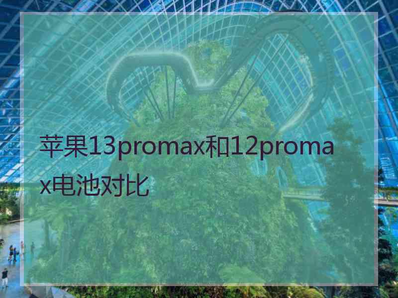 苹果13promax和12promax电池对比