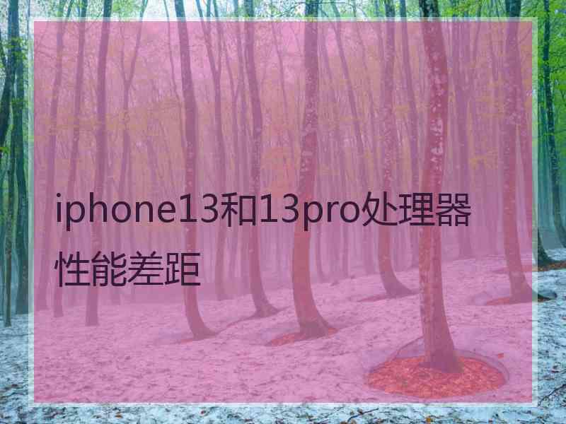 iphone13和13pro处理器性能差距