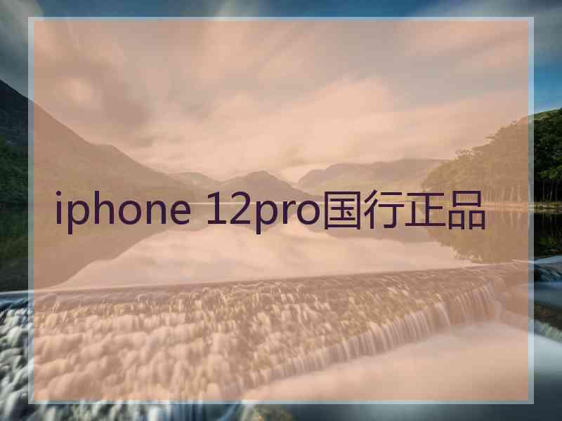 iphone 12pro国行正品