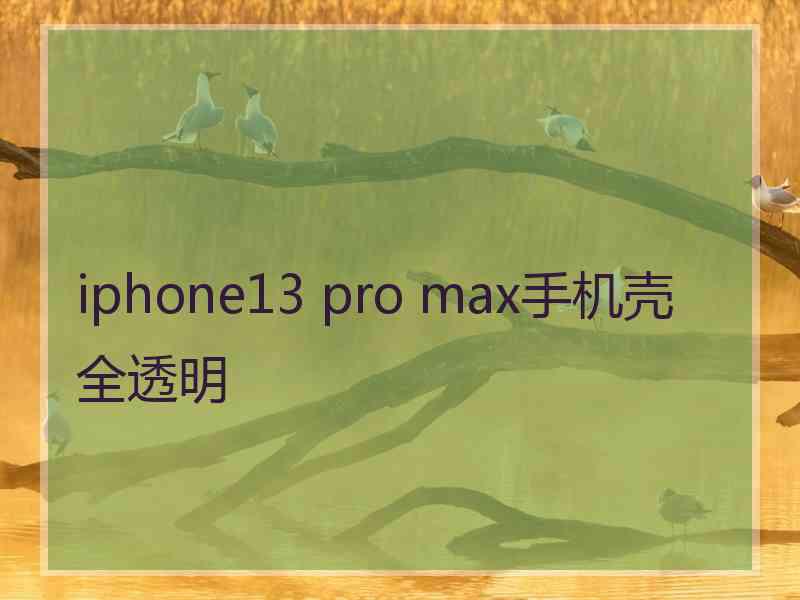 iphone13 pro max手机壳全透明