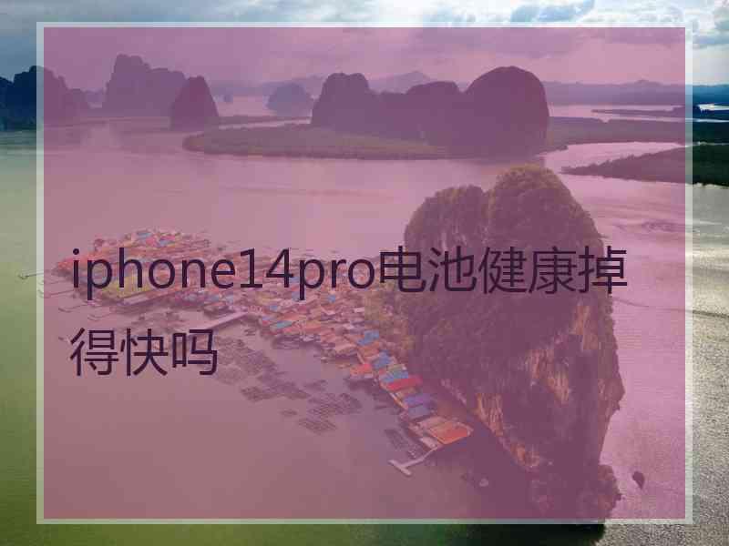 iphone14pro电池健康掉得快吗