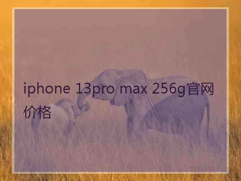 iphone 13pro max 256g官网价格