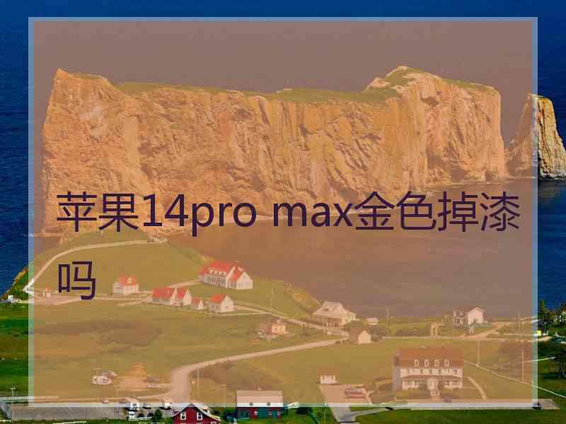 苹果14pro max金色掉漆吗