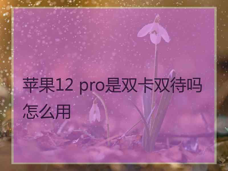 苹果12 pro是双卡双待吗怎么用