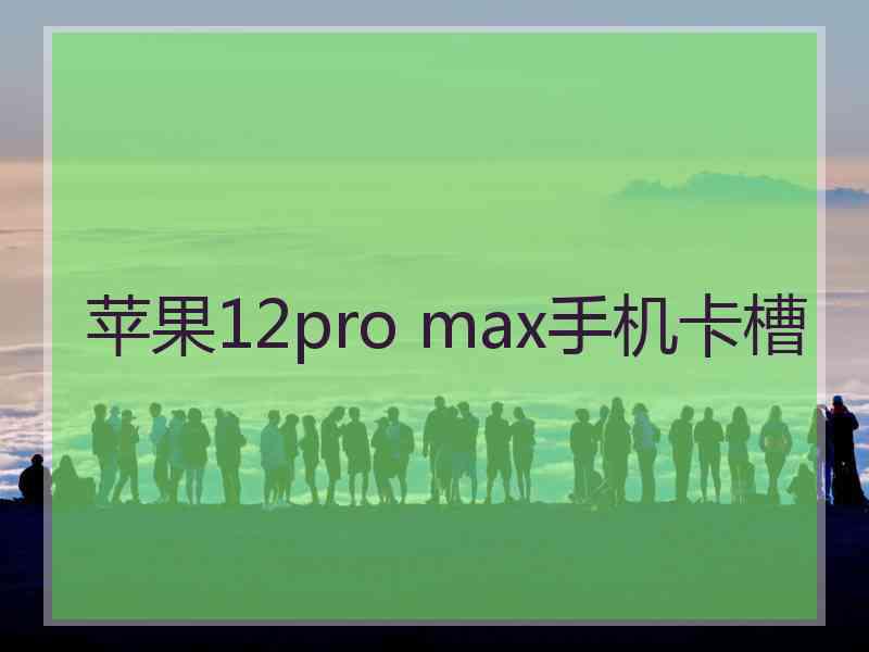 苹果12pro max手机卡槽