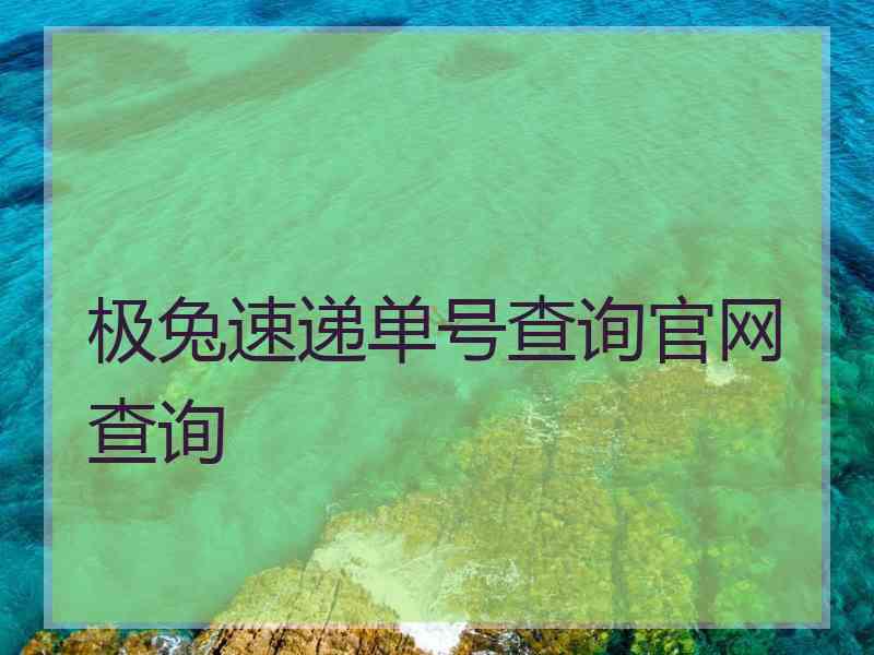 极兔速递单号查询官网查询