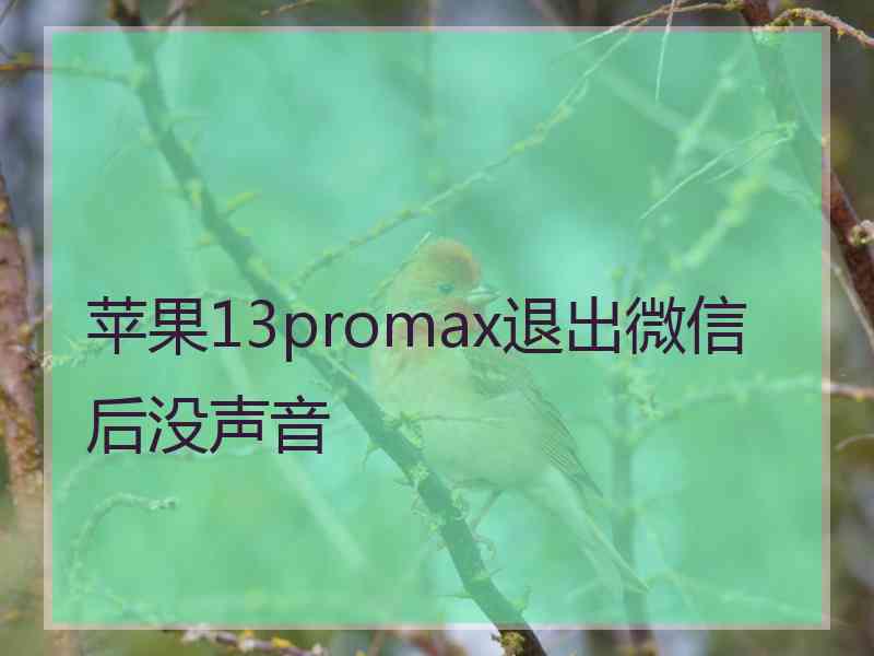 苹果13promax退出微信后没声音