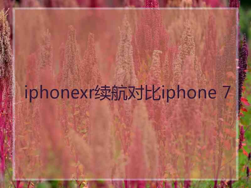 iphonexr续航对比iphone 7