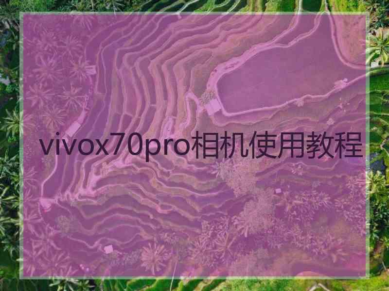 vivox70pro相机使用教程