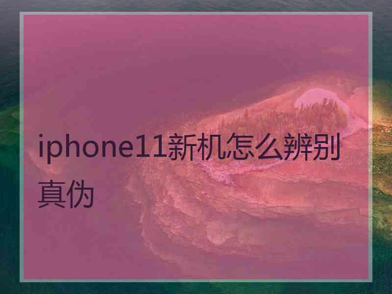 iphone11新机怎么辨别真伪