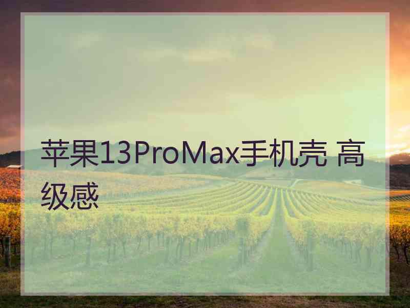 苹果13ProMax手机壳 高级感