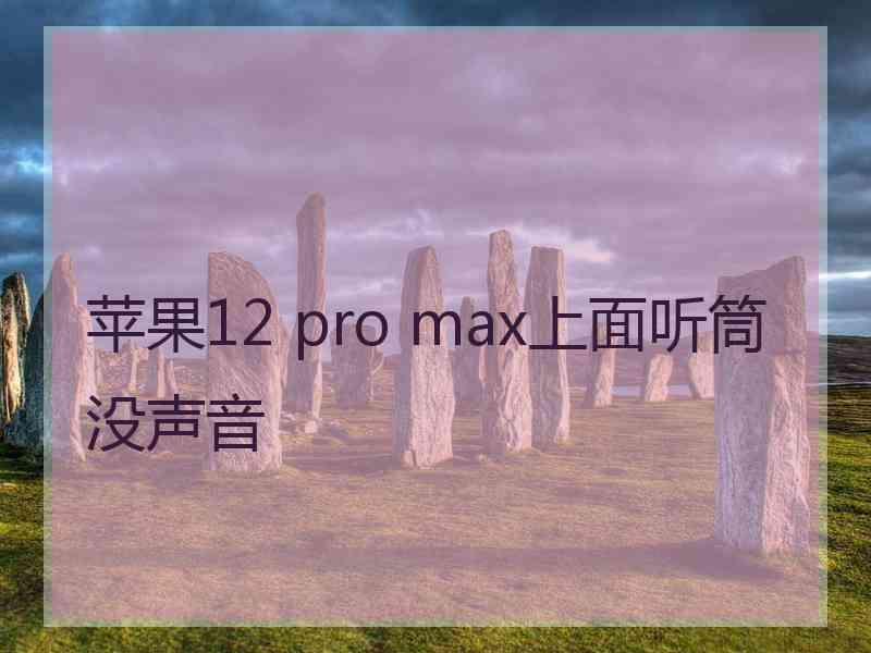 苹果12 pro max上面听筒没声音