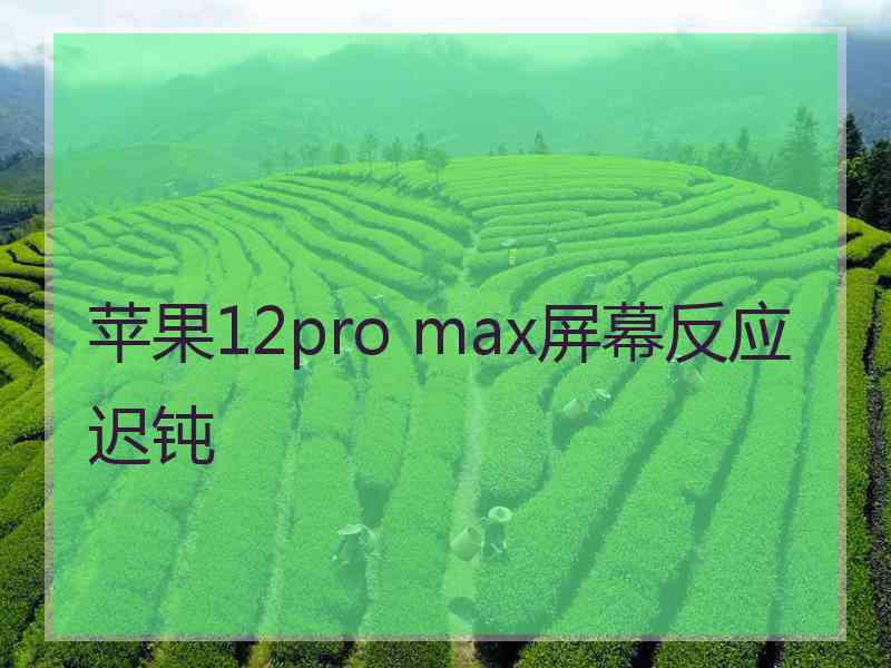 苹果12pro max屏幕反应迟钝