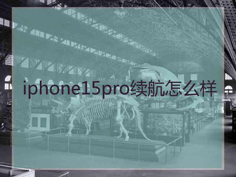 iphone15pro续航怎么样