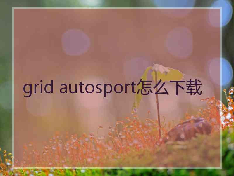 grid autosport怎么下载