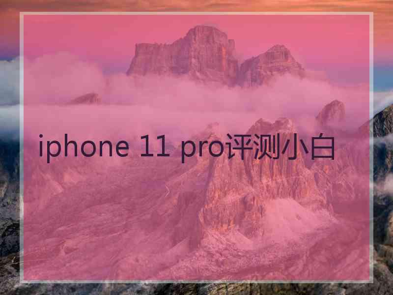 iphone 11 pro评测小白