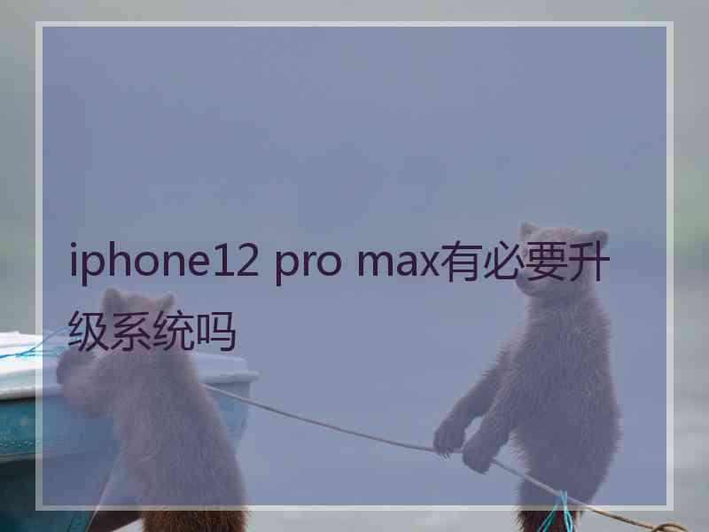 iphone12 pro max有必要升级系统吗