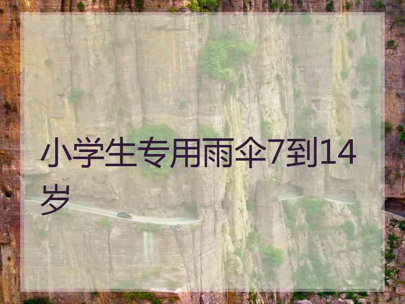 小学生专用雨伞7到14岁