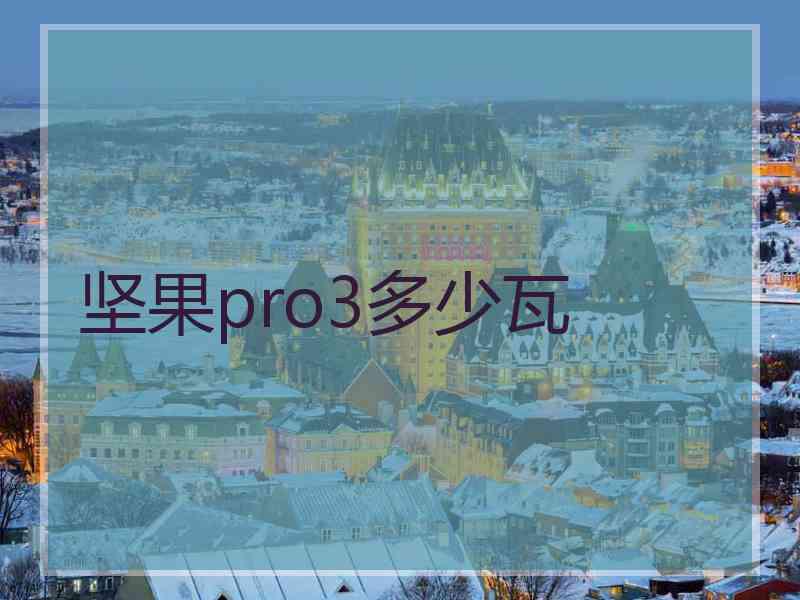 坚果pro3多少瓦