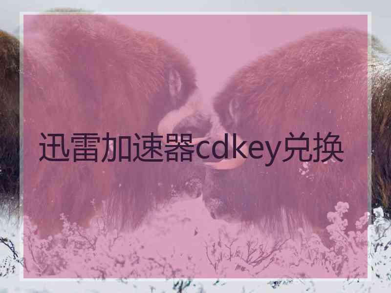 迅雷加速器cdkey兑换