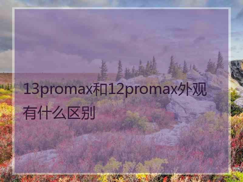 13promax和12promax外观有什么区别