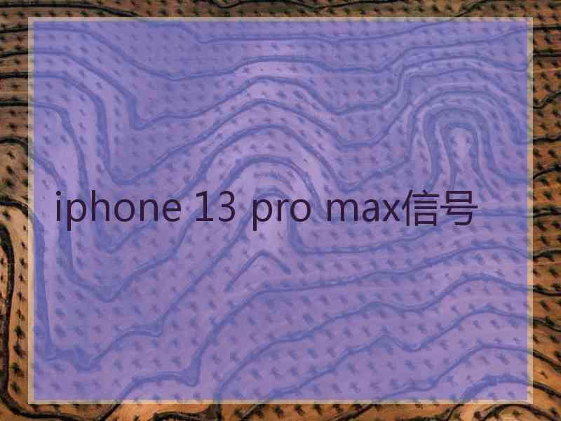 iphone 13 pro max信号