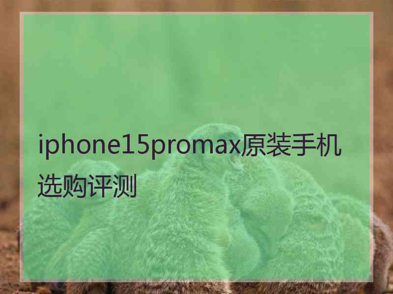 iphone15promax原装手机选购评测