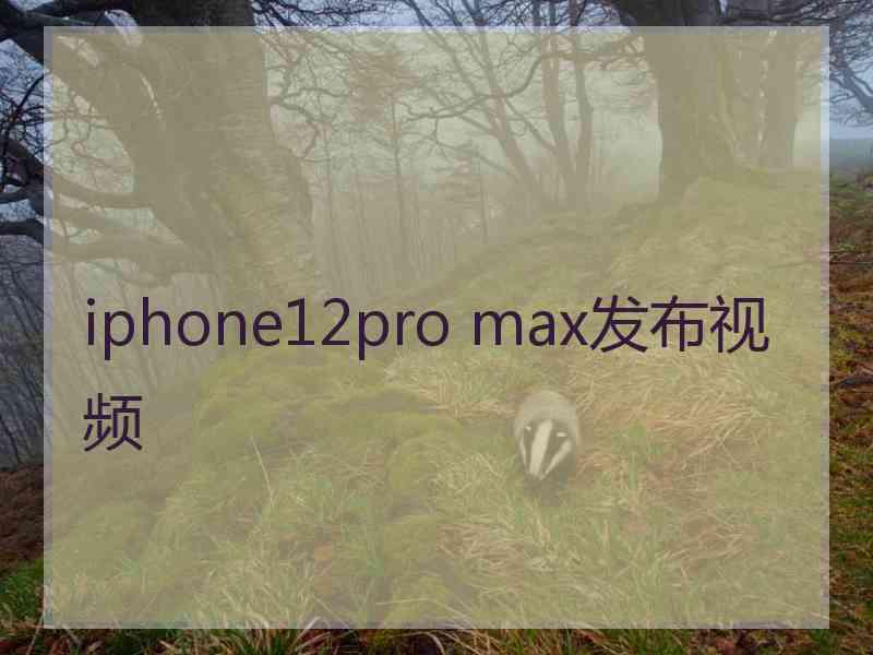 iphone12pro max发布视频