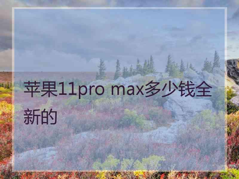 苹果11pro max多少钱全新的