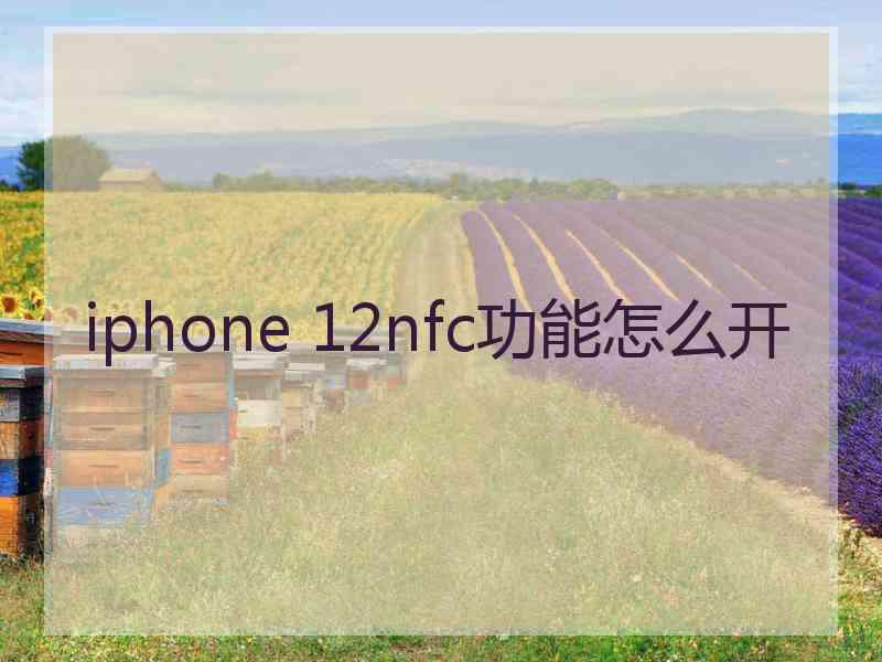 iphone 12nfc功能怎么开