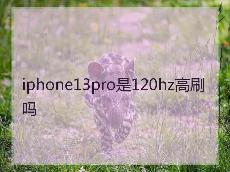 iphone13pro是120hz高刷吗