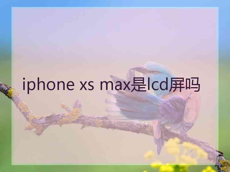 iphone xs max是lcd屏吗