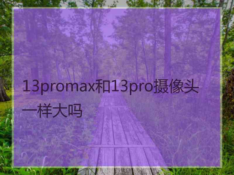 13promax和13pro摄像头一样大吗