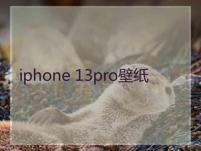 iphone 13pro壁纸