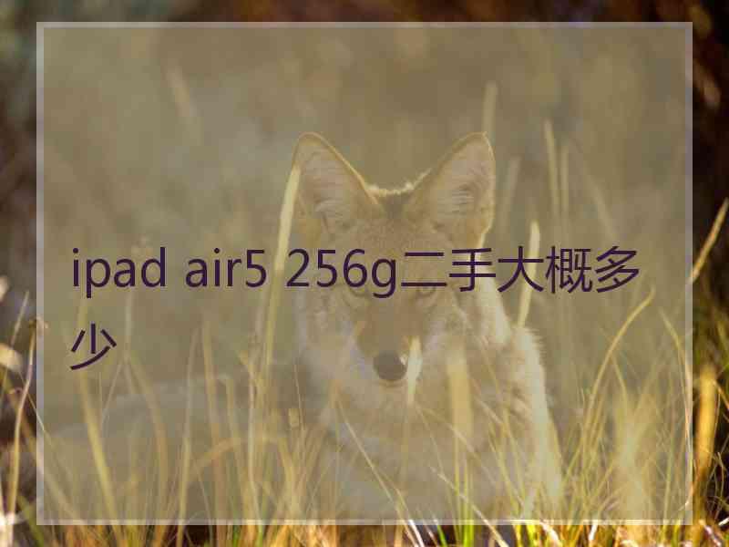 ipad air5 256g二手大概多少