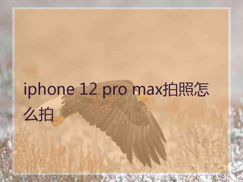 iphone 12 pro max拍照怎么拍