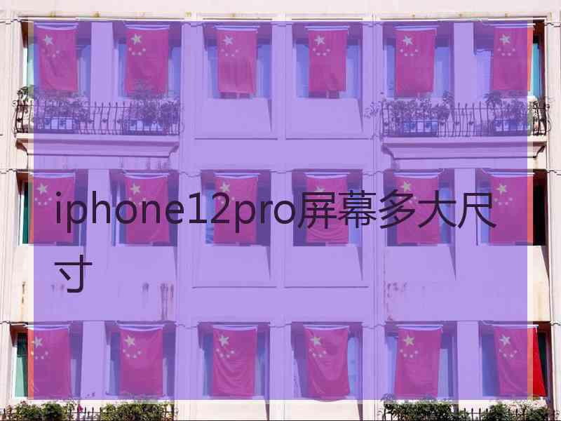 iphone12pro屏幕多大尺寸