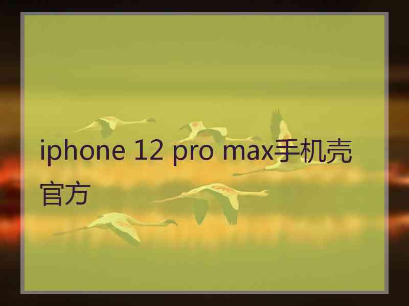 iphone 12 pro max手机壳官方