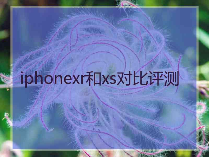 iphonexr和xs对比评测