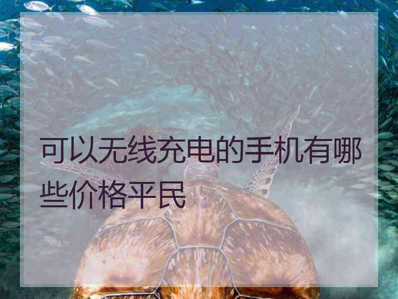 可以无线充电的手机有哪些价格平民