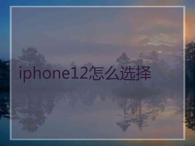 iphone12怎么选择