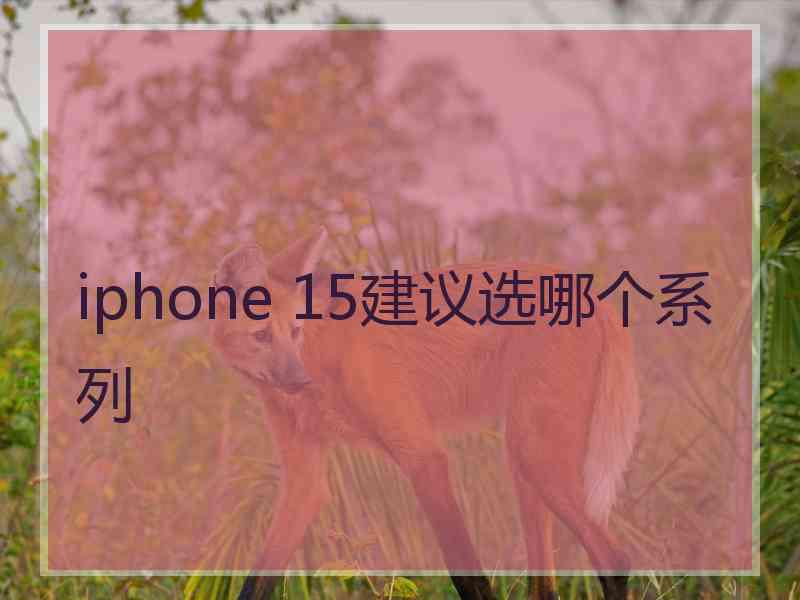 iphone 15建议选哪个系列